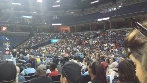 Open Practice 2015 Crowd