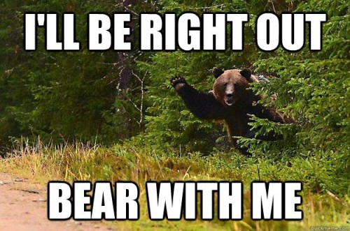 Obligatory Bear Meme