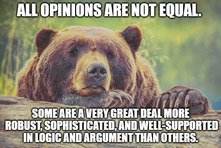 opinions bear